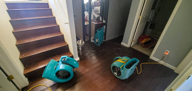 Best Ceiling water damage repair  in Ko Olina, HI