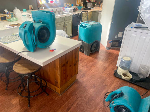 Professional Water damage restoration in Ko Olina, HI