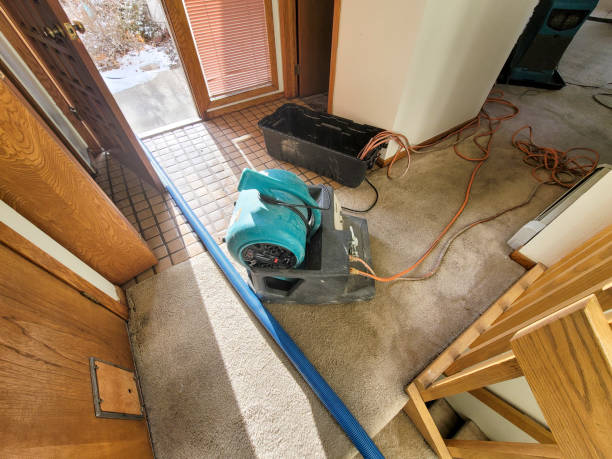Best Water damage cleanup near me  in Ko Olina, HI
