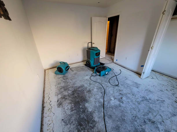 Reliable Ko Olina, HI Water damage restoration Solutions