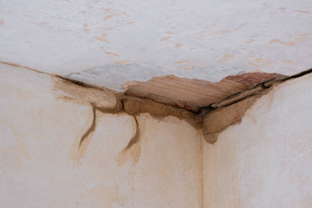 Best 24-hour water damage restoration  in Ko Olina, HI