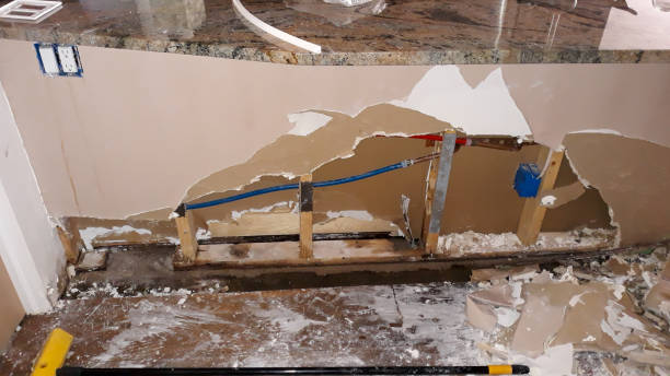 Best Water damage restoration mold remediation  in Ko Olina, HI