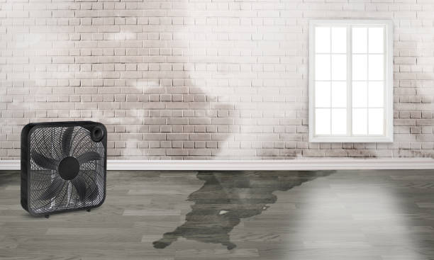 Best Sewage cleanup and water damage restoration  in Ko Olina, HI