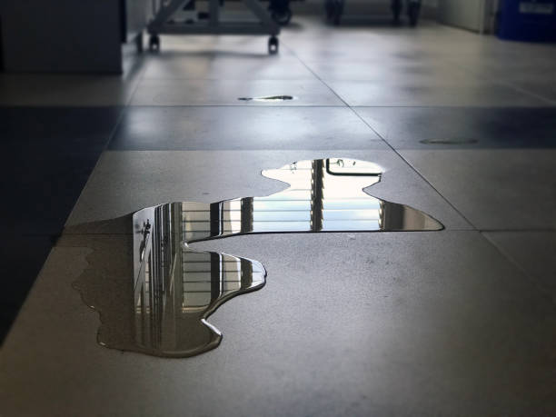 Best Water damage cleanup near me  in Ko Olina, HI