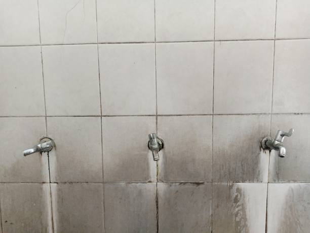 Best Local water damage restoration  in Ko Olina, HI