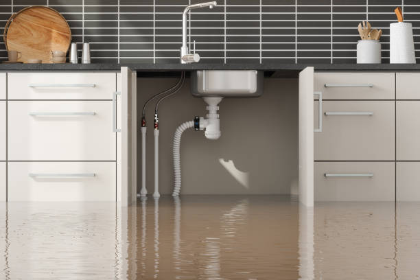 Best Carpet water damage restoration  in Ko Olina, HI