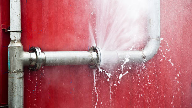 Best Mold removal after water damage  in Ko Olina, HI